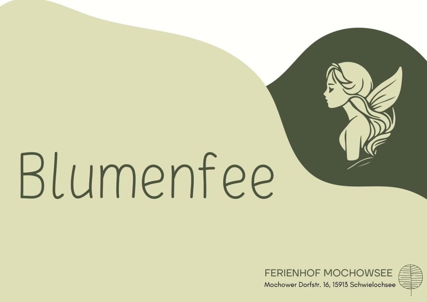 Ferienhof Mochowsee Schwielochsee Phòng bức ảnh