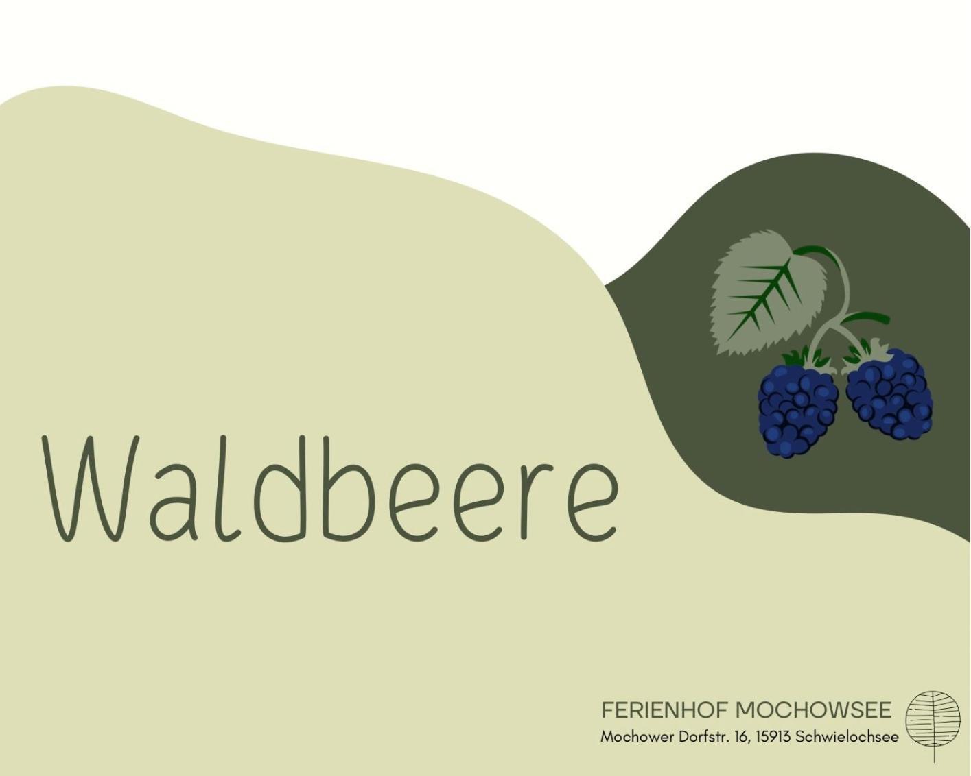 Ferienhof Mochowsee Schwielochsee Phòng bức ảnh